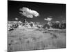 Badlands National Park, South Dakota-Carol Highsmith-Mounted Photo