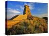 Badlands of Theodore Roosevelt National Park, North Dakota, USA-Chuck Haney-Stretched Canvas