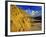 Badlands of Theodore Roosevelt National Park, North Dakota, USA-Chuck Haney-Framed Photographic Print