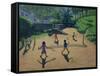 Badminton, Coonoor, India-Andrew Macara-Framed Stretched Canvas