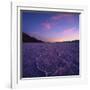 Badwater Basin at Dusk.-Jon Hicks-Framed Photographic Print