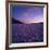 Badwater Basin at Dusk.-Jon Hicks-Framed Photographic Print