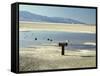 Badwater, Lowest Point in the U.S.A., Death Valley, California, United States of America (U.S.A.)-Gavin Hellier-Framed Stretched Canvas