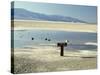 Badwater, Lowest Point in the U.S.A., Death Valley, California, United States of America (U.S.A.)-Gavin Hellier-Stretched Canvas