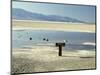 Badwater, Lowest Point in the U.S.A., Death Valley, California, United States of America (U.S.A.)-Gavin Hellier-Mounted Photographic Print