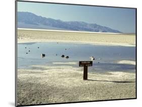 Badwater, Lowest Point in the U.S.A., Death Valley, California, United States of America (U.S.A.)-Gavin Hellier-Mounted Photographic Print