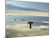 Badwater, Lowest Point in the U.S.A., Death Valley, California, United States of America (U.S.A.)-Gavin Hellier-Mounted Photographic Print