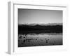 Badwater, Mojave Desert, Death Valley National Park, California, USA-Adam Jones-Framed Photographic Print