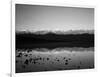 Badwater, Mojave Desert, Death Valley National Park, California, USA-Adam Jones-Framed Photographic Print