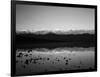 Badwater, Mojave Desert, Death Valley National Park, California, USA-Adam Jones-Framed Photographic Print