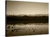 Badwater, Mojave Desert, Death Valley National Park, California, USA-Adam Jones-Stretched Canvas