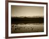 Badwater, Mojave Desert, Death Valley National Park, California, USA-Adam Jones-Framed Photographic Print