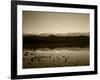 Badwater, Mojave Desert, Death Valley National Park, California, USA-Adam Jones-Framed Photographic Print