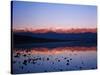 Badwater, Mojave Desert, Death Valley National Park, California, USA-Adam Jones-Stretched Canvas