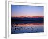 Badwater, Mojave Desert, Death Valley National Park, California, USA-Adam Jones-Framed Photographic Print