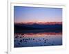 Badwater, Mojave Desert, Death Valley National Park, California, USA-Adam Jones-Framed Photographic Print