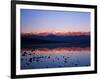 Badwater, Mojave Desert, Death Valley National Park, California, USA-Adam Jones-Framed Photographic Print