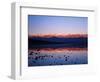 Badwater, Mojave Desert, Death Valley National Park, California, USA-Adam Jones-Framed Photographic Print