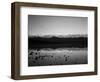 Badwater, Mojave Desert, Death Valley National Park, California, USA-Adam Jones-Framed Photographic Print