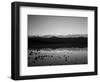 Badwater, Mojave Desert, Death Valley National Park, California, USA-Adam Jones-Framed Photographic Print