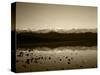 Badwater, Mojave Desert, Death Valley National Park, California, USA-Adam Jones-Stretched Canvas