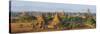 Bagan (Pagan), Myanmar (Burma), Asia-Tuul-Stretched Canvas