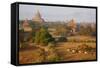 Bagan (Pagan), Myanmar (Burma), Asia-Tuul-Framed Stretched Canvas