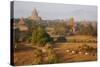 Bagan (Pagan), Myanmar (Burma), Asia-Tuul-Stretched Canvas