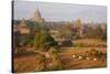 Bagan (Pagan), Myanmar (Burma), Asia-Tuul-Stretched Canvas