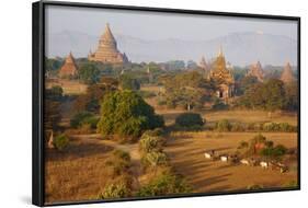 Bagan (Pagan), Myanmar (Burma), Asia-Tuul-Framed Photographic Print