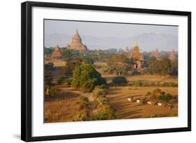 Bagan (Pagan), Myanmar (Burma), Asia-Tuul-Framed Photographic Print