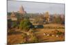 Bagan (Pagan), Myanmar (Burma), Asia-Tuul-Mounted Photographic Print