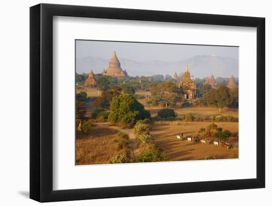 Bagan (Pagan), Myanmar (Burma), Asia-Tuul-Framed Photographic Print