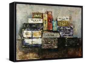 Baggage Claim-Alexys Henry-Framed Stretched Canvas