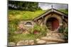 Baggin Hobbit Home New Zealand-null-Mounted Art Print