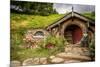 Baggin Hobbit Home New Zealand-null-Mounted Art Print