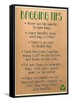 Bagging Tips-null-Framed Stretched Canvas