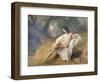 Bagnante, 1844, Francesco Hayez (painting)-Francesco Hayez-Framed Giclee Print