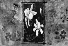 Orchid Panel II-Bagnato Judi-Stretched Canvas