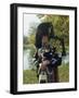 Bagpiper, Scotland, United Kingdom, Europe-Nigel Francis-Framed Photographic Print