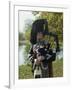 Bagpiper, Scotland, United Kingdom, Europe-Nigel Francis-Framed Photographic Print