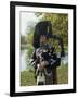 Bagpiper, Scotland, United Kingdom, Europe-Nigel Francis-Framed Photographic Print