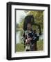 Bagpiper, Scotland, United Kingdom, Europe-Nigel Francis-Framed Photographic Print