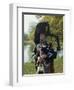 Bagpiper, Scotland, United Kingdom, Europe-Nigel Francis-Framed Photographic Print