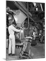 Bags Being Filled at the Spillers Animal Foods Plant, Gainsborough, Lincolnshire, 1962-Michael Walters-Mounted Photographic Print