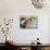 Baguette with Mushrooms and Onions-null-Mounted Photographic Print displayed on a wall