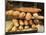 Baguettes in the Window of the Paul Bread Shop, Lille, Flanders, Nord, France-David Hughes-Mounted Photographic Print