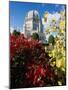 Baha'i House of Worship, Wilmette, Illinois, USA-null-Mounted Photographic Print