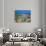 Baha'i Shrine and Garden, Israel-Barry Winiker-Premium Photographic Print displayed on a wall