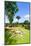 Bahai Gardens, Acre-RnDmS-Mounted Photographic Print